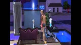 Les sims 2 : Acouchement !