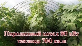 Пиролизный котел 80 кВт теплица 700 кв.м