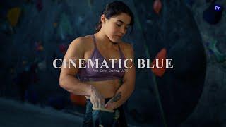 How To Get Cinematic Blue Color Grading  | Free Color Grading LUTS | HV Presets |