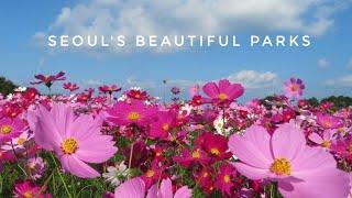 A Walkthrough Seoul Scenic Parks | Haneul and Seoul Forest Park