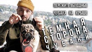 Тёмная сторона Чубаки / ЧубаСтрой - строим дом в Крыму!