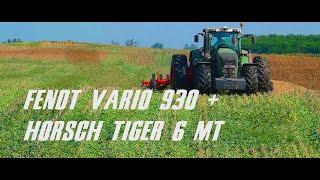 Agro-Soós Kft. Fendt 930 Vario + Horsch Tiger 6 MT