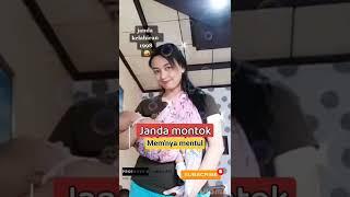JANDA MONTOK
