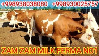 SOTILDI. 4TA ZAM ZAM MILK FERMA ️938038080 ️930025757