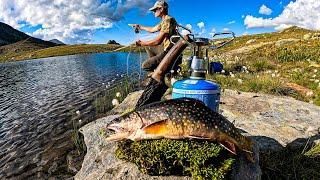 WILD Mountain Trout Fishing & SOLO Camping!!! (Catch & Cook)