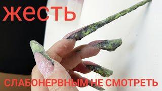 Ужас  жесть/Как жить с такими ногтями/Простой дизайн ногтей/Шулунова Дарья