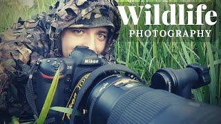 WILDLIFE PHOTOGRAPHY - The Eurasian Beaver | LOODUSFOTOGRAAFIA - Emajõe kobras