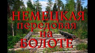 Нашел немецкую передовую на болоте. Все осталось на поверхности. Сбросы на болоте. Волховский Фронт.