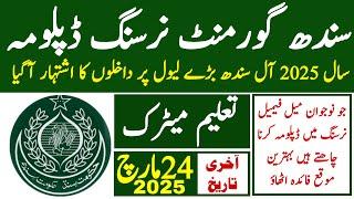 Sindh Goverment Nursing Diploma Admission 2025 Advertisment | Technical Job Info 1.0