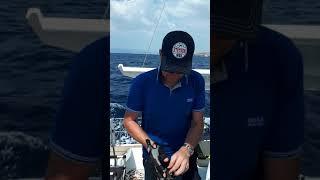 Hanse 588 - Bucht von Palma de Mallorca 08.2018 II