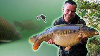 3 Tactics you NEED to try this Spring  Carp Fishing