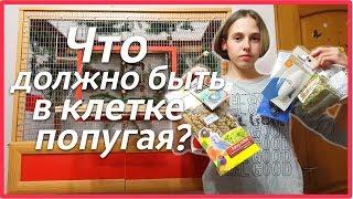 Что должно быть в клетке попугая? Покупки из зоомагазина. | Рокки Life