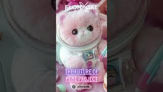 ElonXCat Bringing Space Dreams to Life Through Memes