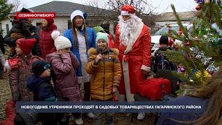 В садовых товариществах Севастополя уже празднуют Новый год