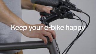 Bike checks & care — Basic bike maintenance | Ampler E-Bike Tips