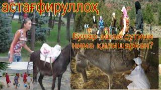 ДАХШАТ ТЕЗДА  КУРИНГ  #эшак сутини  каронавирус давоми нима қилишаркан? Қозоғистонда олинган видео