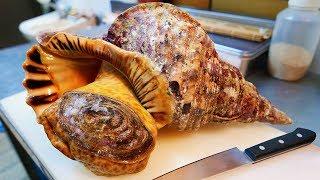 Japanese Street Food - GIANT TRUMPET CONCH Sashimi Okinawa Seafood Japan