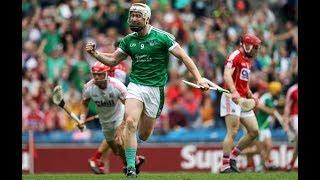 Sporting Limerick All Ireland Final Panel