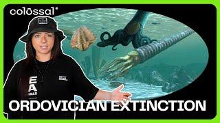 The First Mass Extinction as Explained by Lindsay Nikole