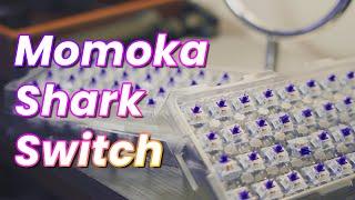 Momoka Shark Tactile Switch Review - A bump above the rest