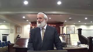 Tehilim (Psalms) Lecture 68 - Chapters 56 & 57