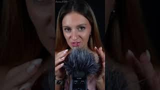 ASMR Brushing Sounds 