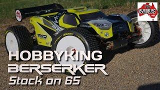Hobby King Berserker on 6S with 300k Center Diff Oil
