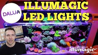 Illumagic LED Lights