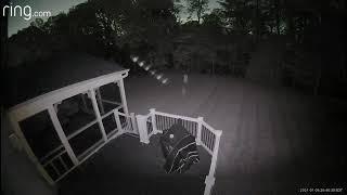 Mysterious row of orbs caught on homeowner’s security camera in Prince George's County | FOX 5 DC