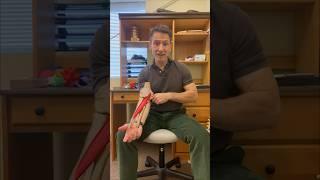 Biceps Tendonitis Treatment - Fascial Release of the Pronator Teres Muscle