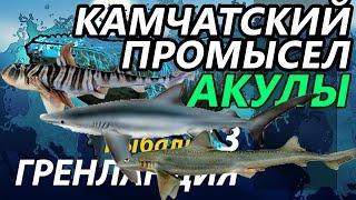 Камчатский промысел Акулы / РР3 [ Русская рыбалка 3.9 Гренландия]