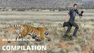 Heart-Pounding Wildlife Encounter: A Close Call #ScaryEncounter #WildlifeAttack #survivalinstinct