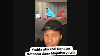 Yau Senatoci sun kori Natasha daga majalisa… #abis_fulani #hausa