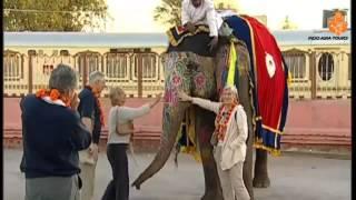 Palace on Wheels by Indo Asia Tours