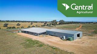 Shearing Shed | Central Steel Build