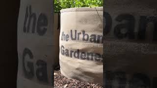 Around the urban garden…