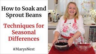 How to Soak and Sprout Beans