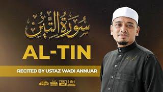 Surah al-Tin سُورَةُ التِّينِ (Recited by Ustaz Wadi Annuar)