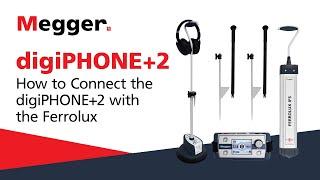 How to Connect the DigiPHONE+2 with the Ferrolux