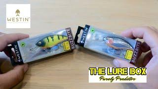 Quick look - Westin Buzzbite 6cm Suspending #lurefishing #westinfishing #lurefishinguk