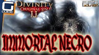 DIVINITY ORIGINAL SIN  2 - IMMORTAL NECROMANCER BUILD