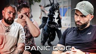 "Mon chien est devenu un CR!MINEL !" - Chien AGRESSIF HUMAIN - Panic Dog Ep17