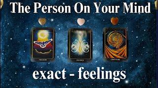 THE PERSON ON YOUR MIND (exact-feelings)   #timeless Tarot Psychic Reading! * Pick A Card *