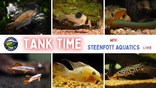 Tank Time: Solving Your Aquarium Problems Live