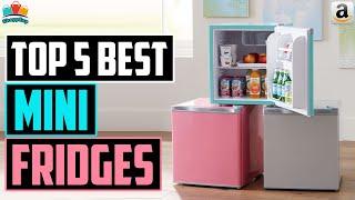 Top 5: Best Mini Fridge 2020