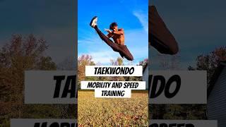 Taekwondo Training For Mobility and Speed! #taekwondo #shorts