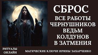 Снимаем все работы ведьм и колдунов сделанные в коридор затмений. Бьем по ВЕДЬМАМ ОСИНОВЫМ КОЛОМ.