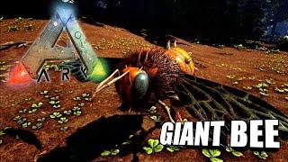 Taming A Giant Bee | Ark Survival Evolved | The Island