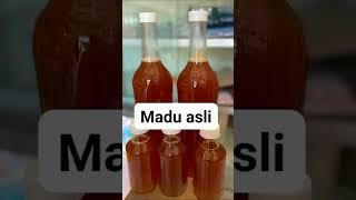 Madu asli