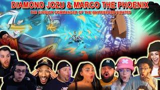 JOZU & MARCO!!! The Division Commander of The Whitebeard Pirates - Reaction Mashup One Piece